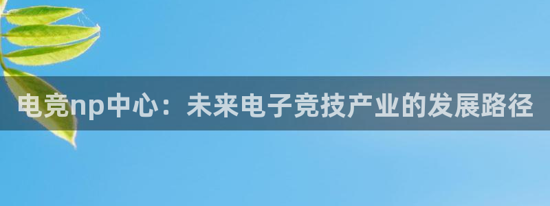 火博电竞网站：电竞np中心：未来电子竞技产业的发展路径