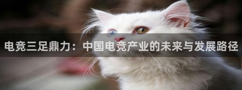 火博电竞官网入口