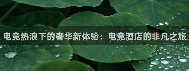 火博电竞官网入口