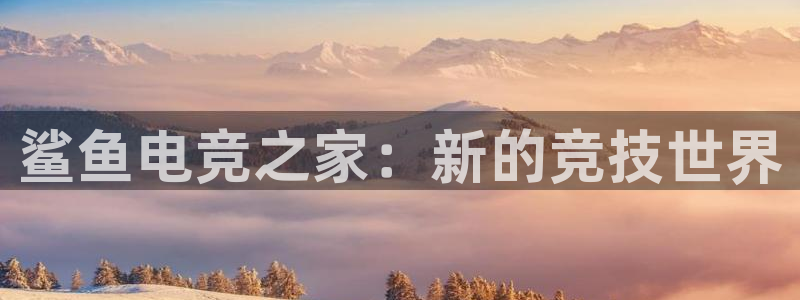 火博电竞官网入口