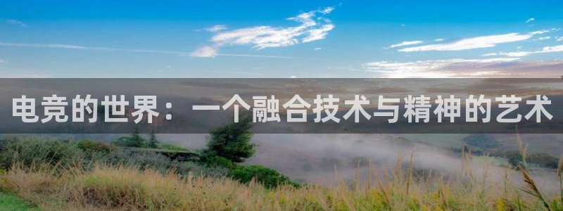 火博电竞app官网网站：电竞的世界：一个融合技术与精神的艺术