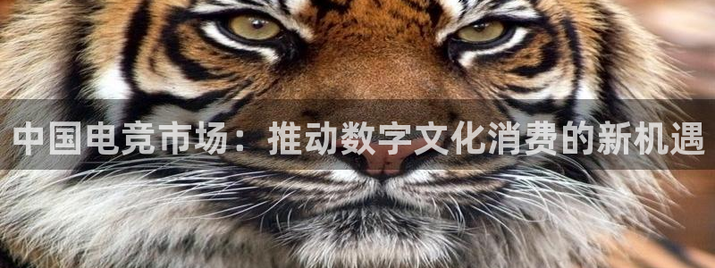 火博电竞网站