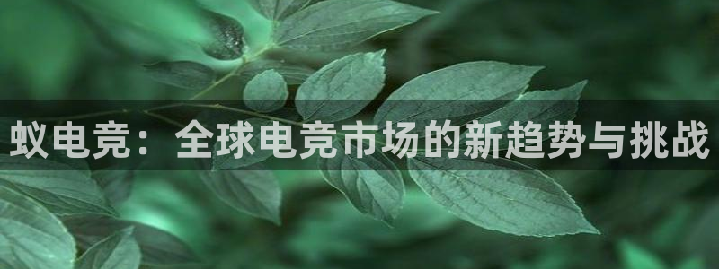 火博电竞app官网网站