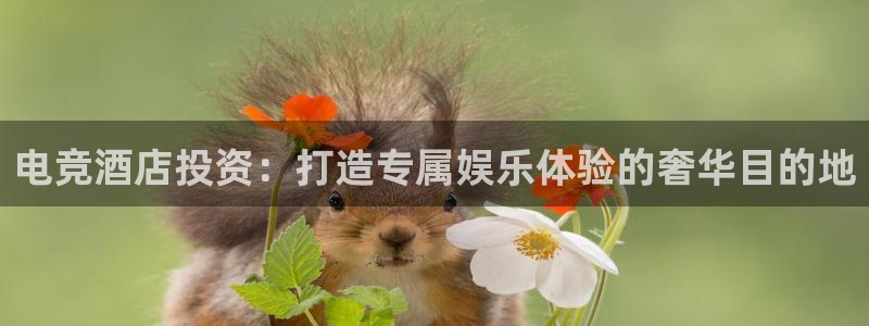 火博电竞app官网网站：电竞酒店投资：打造专属娱乐体验的奢华目的地