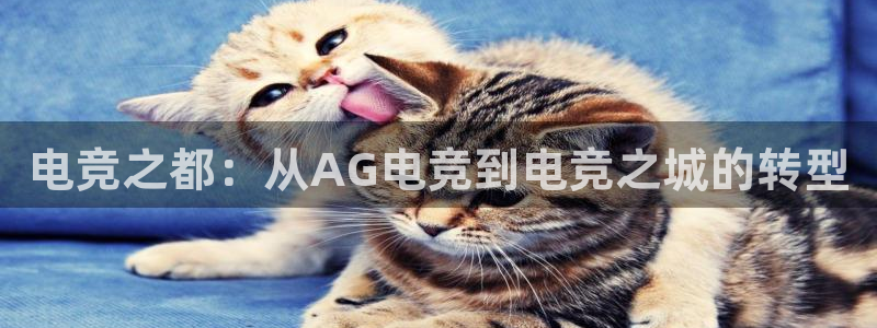 火博电竞：电竞之都：从AG电竞到电竞之城的转型