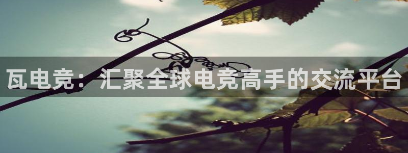 火博电竞：瓦电竞：汇聚全球电竞高手的交流平台