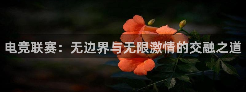 火博电竞官网入口：电竞联赛：无边界与无限激情的交融之道