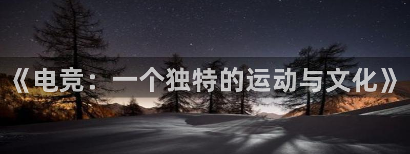 火博电竞app官网网站：《电竞：一个独特的运动与文化》