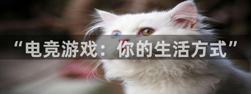 火博电竞官网入口：“电竞游戏：你的生活方式”
