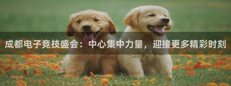 火博电竞：成都电子竞技盛会：中心集中力量，迎接更多精彩时刻