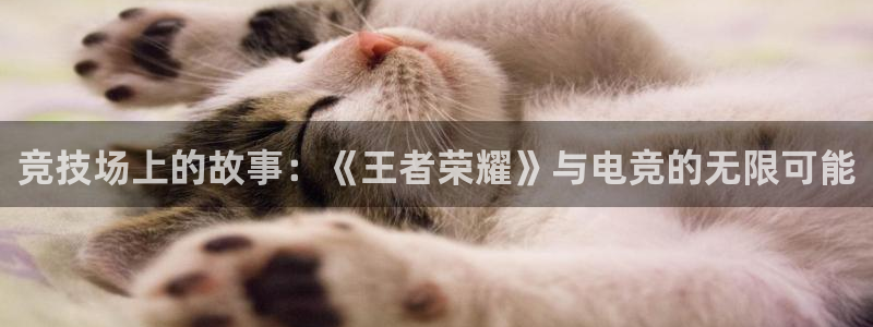 火博电竞网站