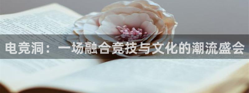 火博电竞