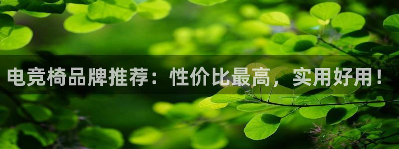 火博电竞网站